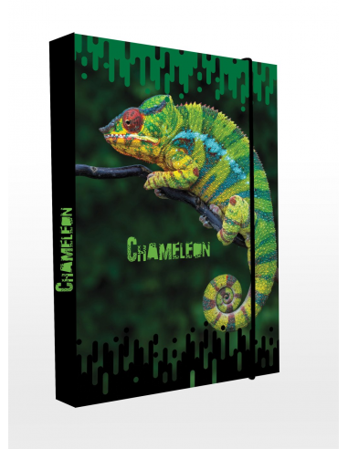 Box na zošity A4 chameleon