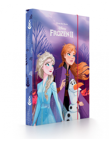 Box na zošity A4 Frozen 2