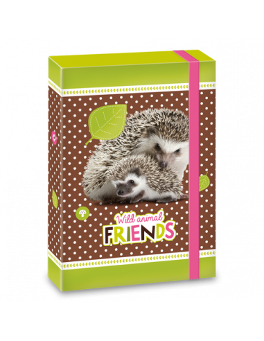 Box na zošity Hedgehog ježek A5
