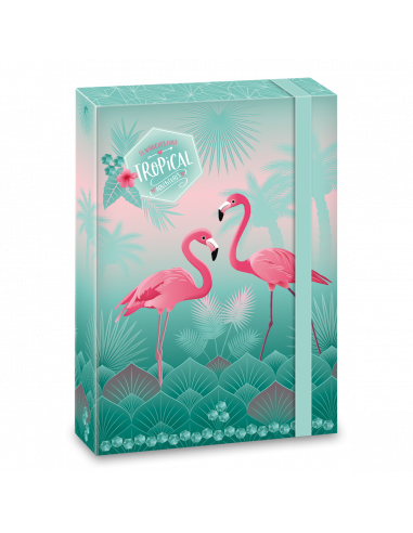 Box na zošity Pink Flamingo A5
